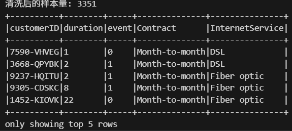 Data cleaning output