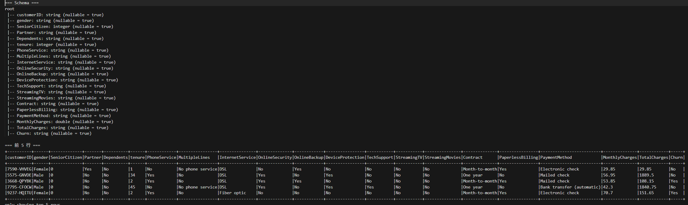 Original schema and dataset preview